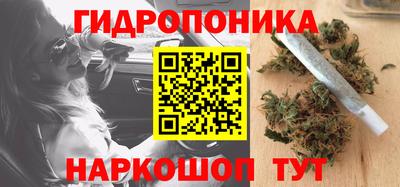 гашик Гусь-Хрустальный