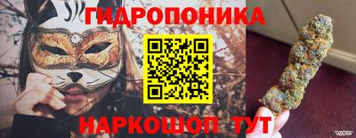скорость Дубна